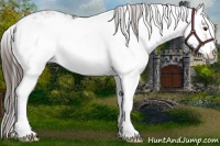 Horse Color:Liver Chestnut Ice Sabino 