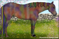 Horse Color:Gray Painted Nacre Bay 