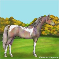 Horse Color:Nacre Silver Blue Roan Tobiano 