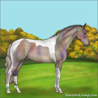 Horse Color:Nacre Silver Blue Roan Tobiano 