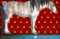 Horse Color:White Spotted Bay Rabicano