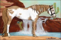 Horse Color:Chestnut Frame 