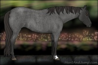 Horse Color:Liver Red Roan 