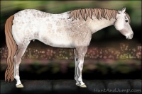 Horse Color:Red Onyx Ice 