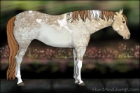 Horse Color:Chestnut Ice Tobiano 
