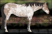 Horse Color:Classic Champagne Ice 