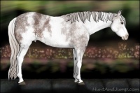 Horse Color:White Spotted Silver Brown Ice 