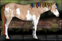 Horse Color:Painted Bay Ice Splash 