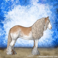 Horse Color:White Spotted Red Roan 