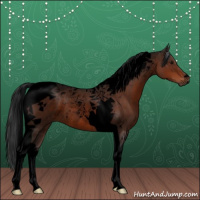 Horse Color:Void Bay Tobiano Rabicano