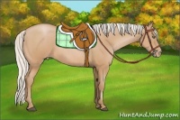 Horse Color:Silver Bay Pearl