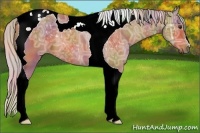 Horse Color:Nacre Silver Brown Ice Tobiano 