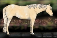 Horse Color:Palomino Ice 