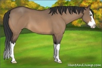 Horse Color:Bay Roan Dun Splash