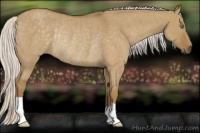 Horse Color:Silver Smoky Grullo Roan Rabicano 