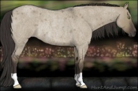 Horse Color:Smoky Grullo Roan Rabicano 