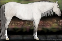 Horse Color:Smoky Grullo Roan Rabicano 