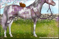 Horse Color:Plaid  White Spotted Silver Brown Onyx 