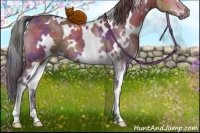 Horse Color:Nacre White Spotted Brown Dun 