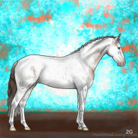 Horse Color:Liver Red Dun Splash Tobiano Frame 