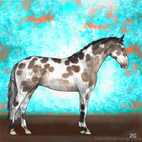 Horse Color:Brown Dun Splash Tobiano