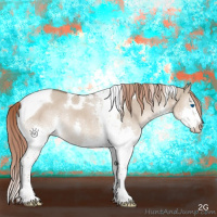 Horse Color:Liver Red Dun Splash Tobiano 