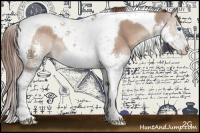 Horse Color:Liver Red Dun Splash Tobiano 