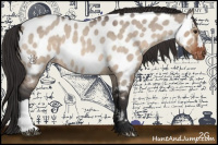 Horse Color:Brown Roan Dun Near Leopard 