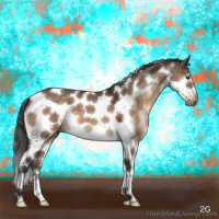 Horse Color:Brown Dun Splash Tobiano Frame 