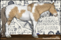 Horse Color:Chocolate Palomino Dun Tobiano Frame 