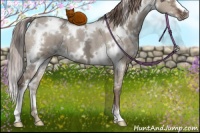 Horse Color:White Spotted Liver Red Dun Ice 