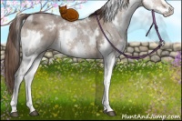 Horse Color:White Spotted Liver Red Dun Ice Splash 