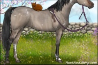 Horse Color:White Spotted Brown Dun 