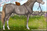 Horse Color:Liver Red Dun Ice Sabino 