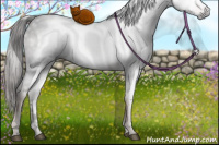Horse Color:Gray Liver Red Dun Sabino