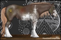 Horse Color:Liver Chestnut Sabino Rabicano 