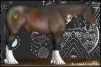 Horse Color:Brown Sabino 