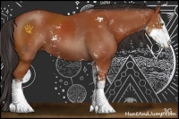 Horse Color:Brown Sabino 