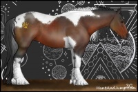 Horse Color:Brown Sabino Tobiano 