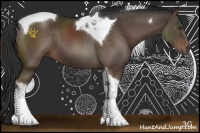 Horse Color:Liver Chestnut Sabino Tobiano 