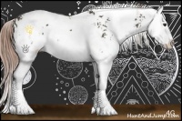 Horse Color:Liver Chestnut Sabino Splash 