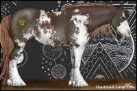 Horse Color:Liver Chestnut Sabino 