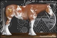 Horse Color:Bay Sabino Splash Rabicano