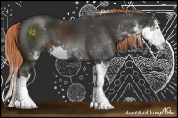 Horse Color:Liver Chestnut Sabino Splash 