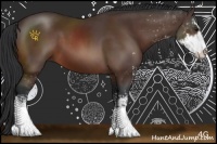 Horse Color:Bay Sabino 