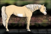 Horse Color:Gold Cream Champagne Frame 