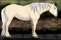 Horse Color:Silver Amber Cream Champagne Roan Dun Frame 