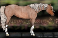 Horse Color:Silver Bay Roan 