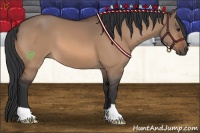 Horse Color:Bay Dun