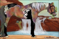 Horse Color:Nacre Bay Sabino Tobiano 